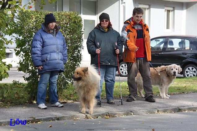 Oktober 2010: Nordic Walking